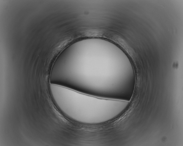 X0000097630441200802290848