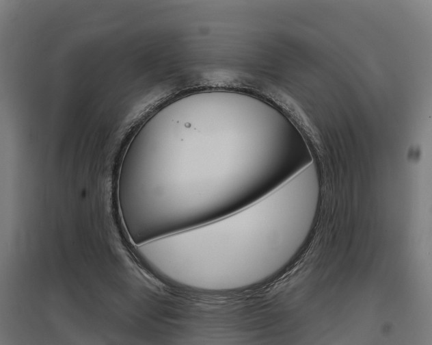 X0000097630442200802290848