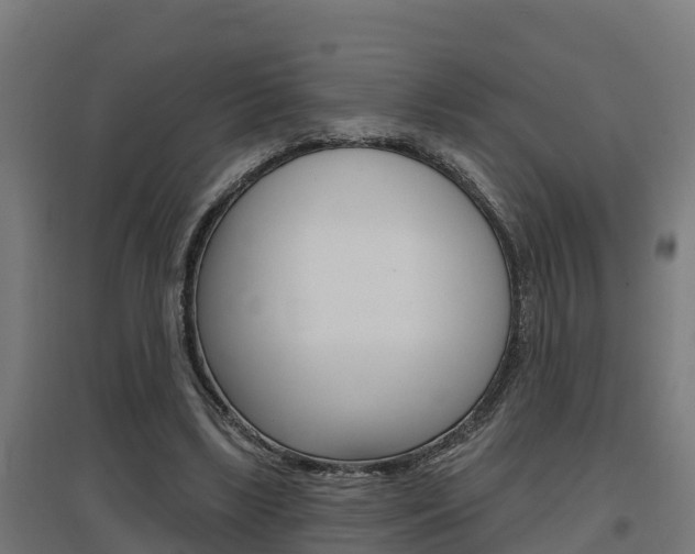 X0000097630443200802290848