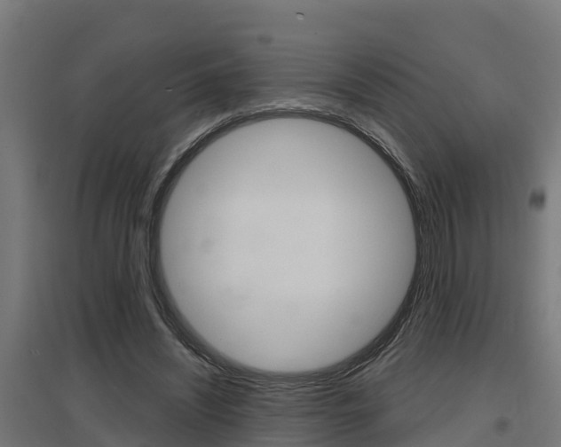 X0000097630444200802290848