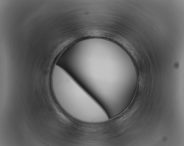 X0000097630445200802290848