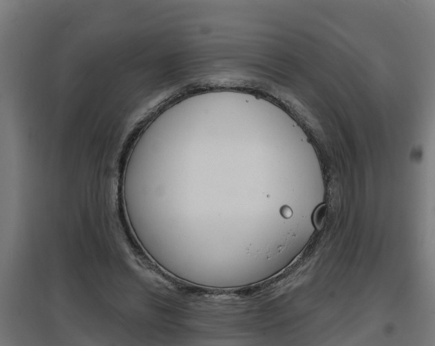 X0000097630446200802290848