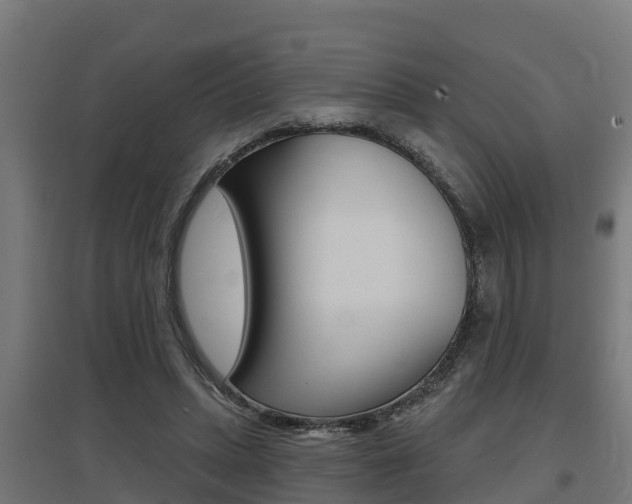 X0000097630447200802290848