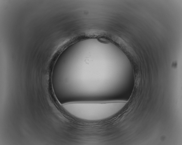 X0000097630448200802290848