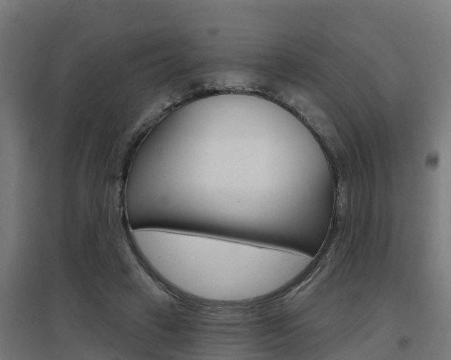 X0000097630449200802290848