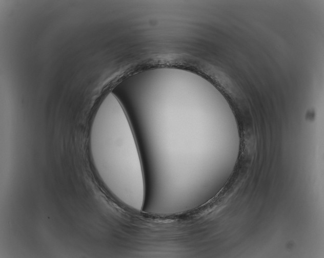 X0000097630450200802290848