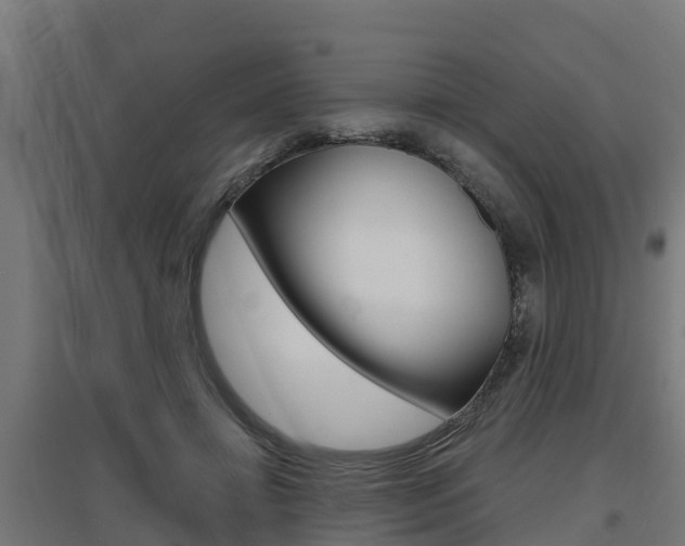 X0000097630452200802290848
