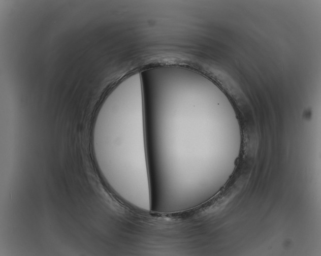 X0000097630453200802290848