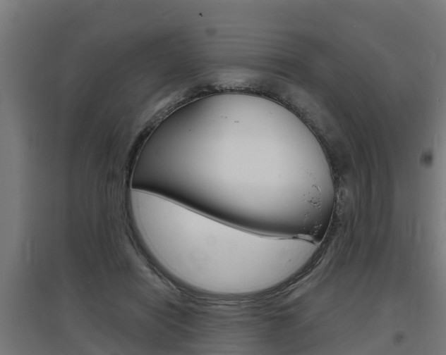 X0000097630454200802290848