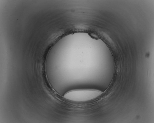 X0000097630455200802290848