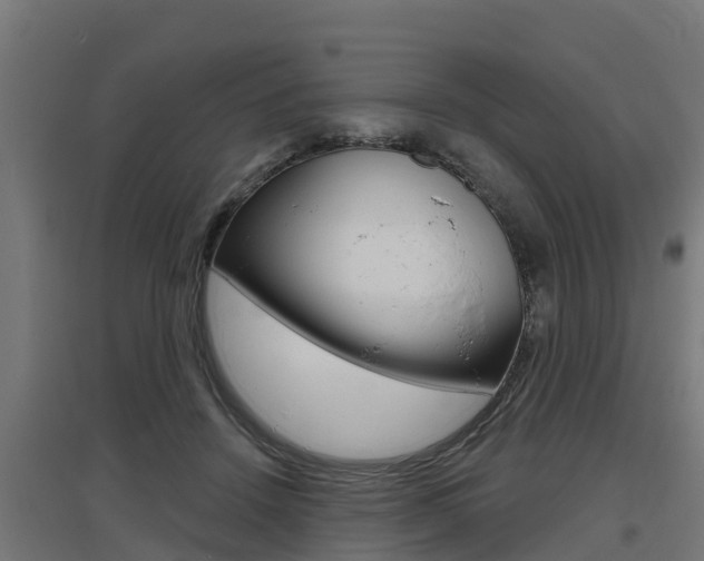 X0000097630456200802290848