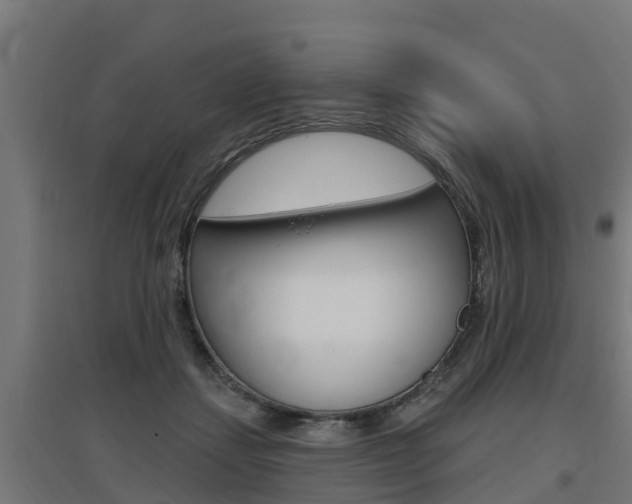 X0000097630459200802290848
