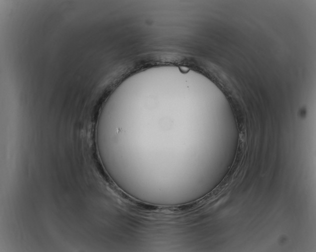 X0000097630462200802290848