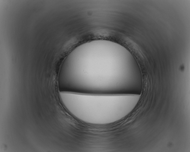 X0000097630463200802290848