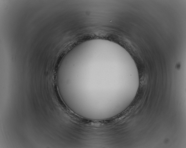 X0000097630464200802290848