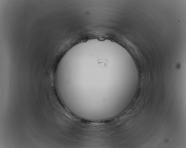 X0000097630465200802290848