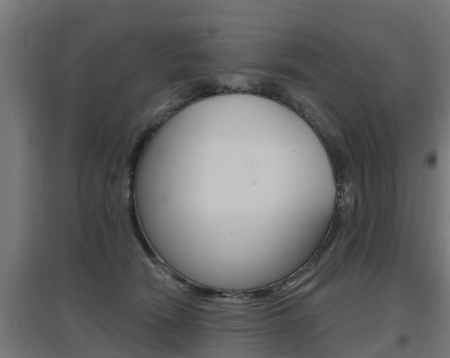 X0000097630466200802290848