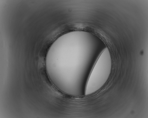 X0000097630467200802290848