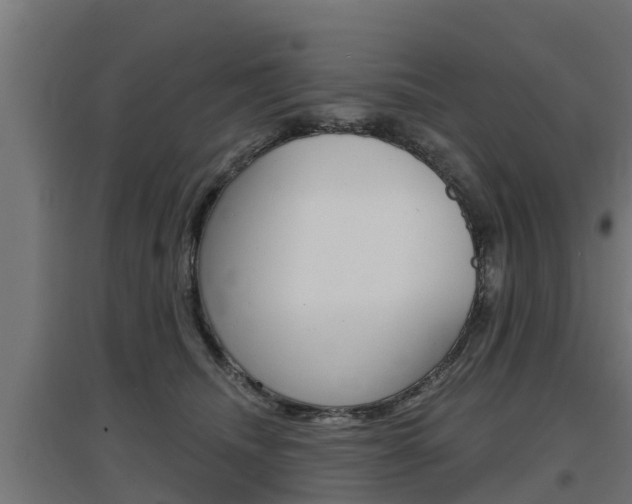 X0000097630468200802290848