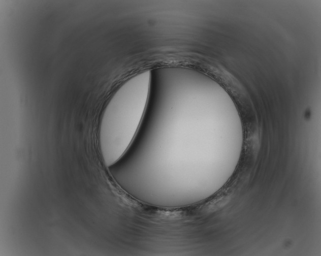 X0000097630469200802290848