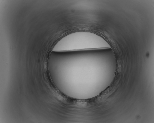 X0000097630471200802290848