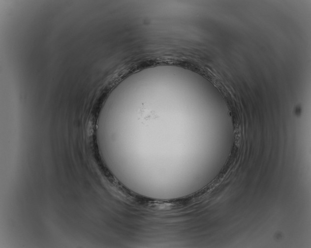 X0000097630472200802290848