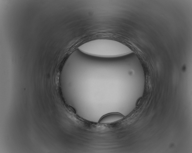 X0000097630475200802290848