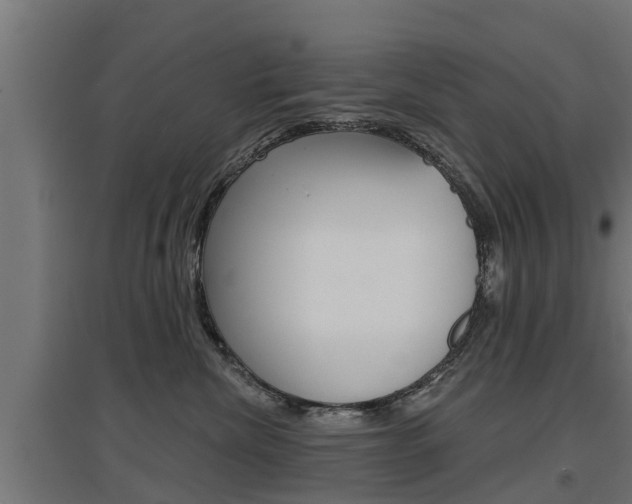 X0000097630476200802290848