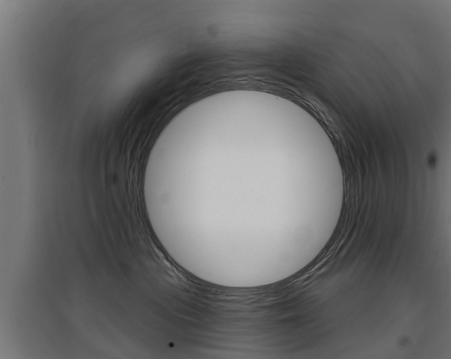 X0000097630477200802290849