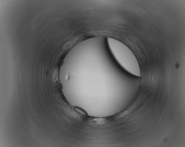 X0000097630478200802290849