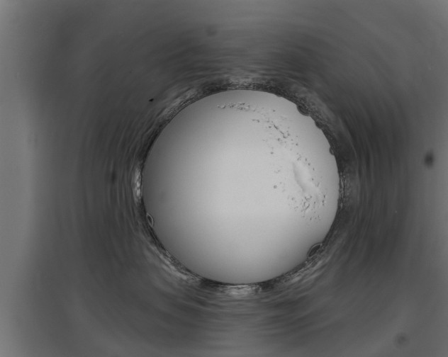 X0000097630479200802290849
