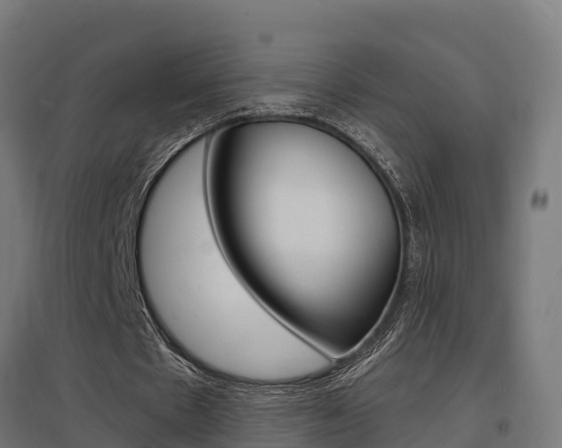 X0000097630481200802290848