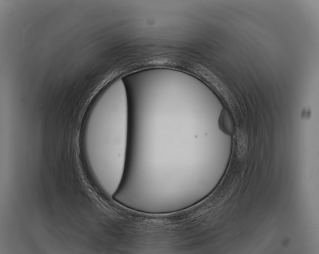 X0000097630482200802290848