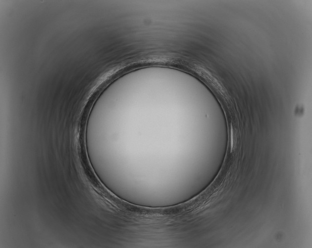 X0000097630483200802290848