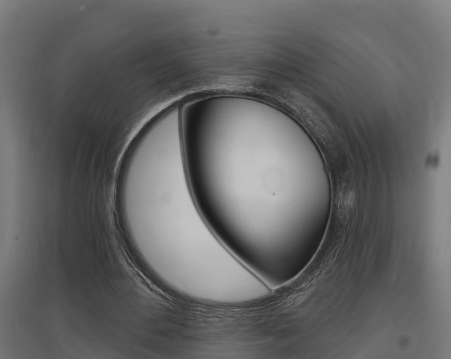 X0000097630484200802290848