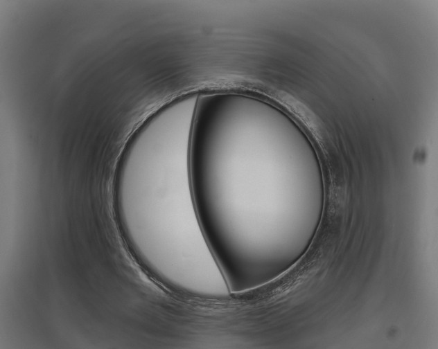 X0000097630485200802290848