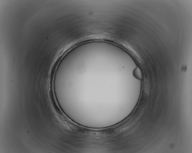 X0000097630486200802290848