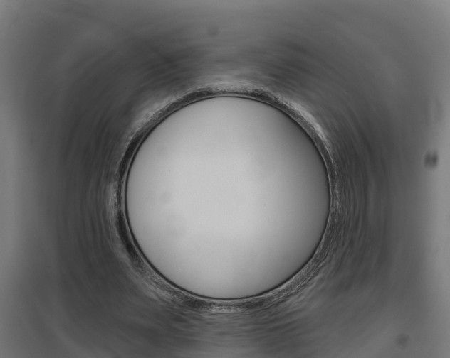 X0000097630487200802290848