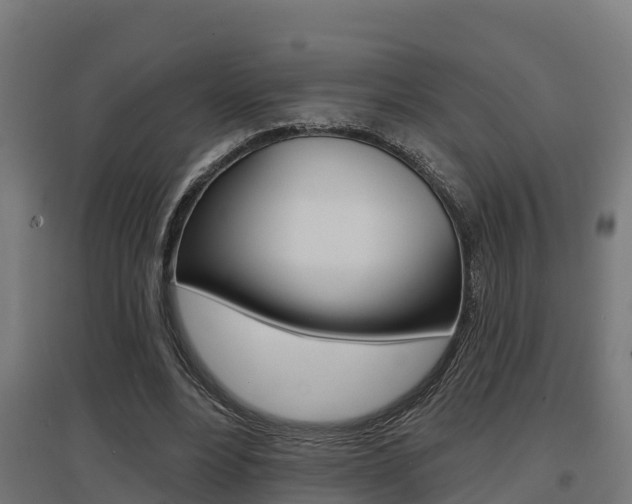 X0000097630488200802290848