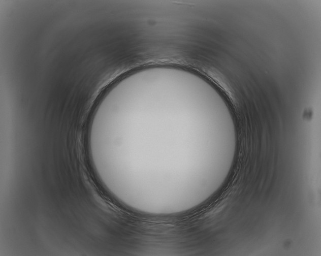 X0000097630491200802290848
