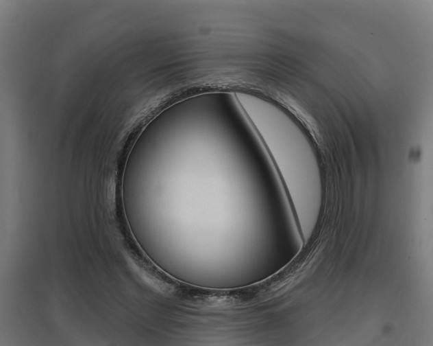 X0000097630493200802290848