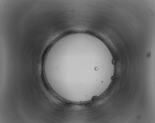 X0000097630494200802290848