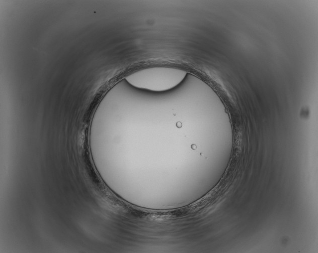 X0000097630495200802290848
