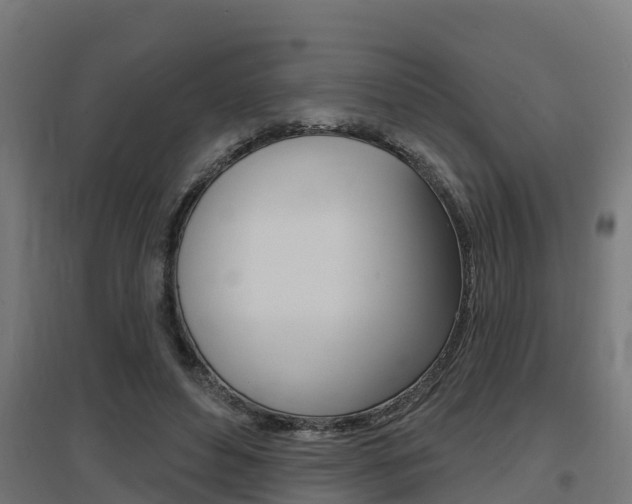 X0000097630496200802290848