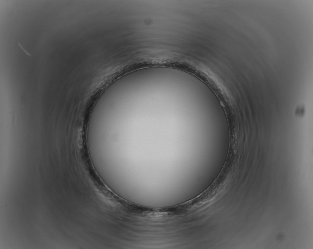 X0000097630497200802290848
