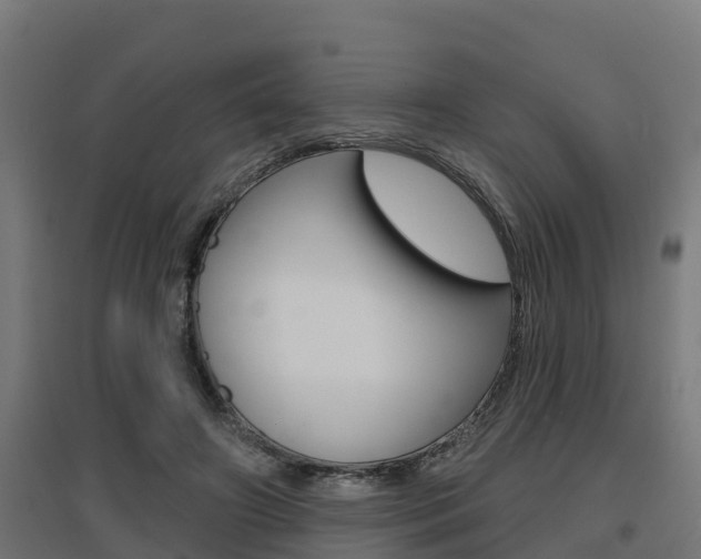 X0000097630498200802290848