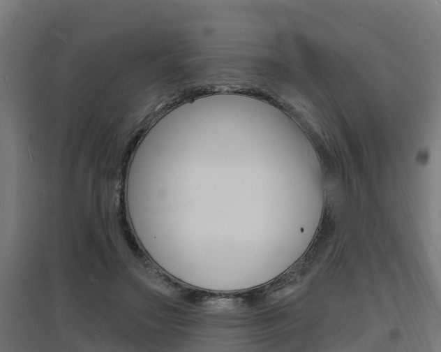 X0000097630499200802290848