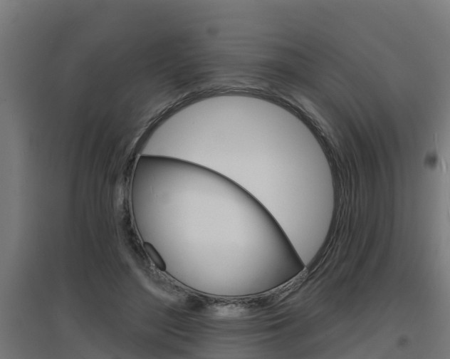 X0000097630500200802290848