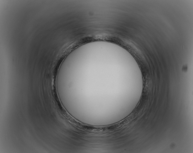 X0000097630502200802290848