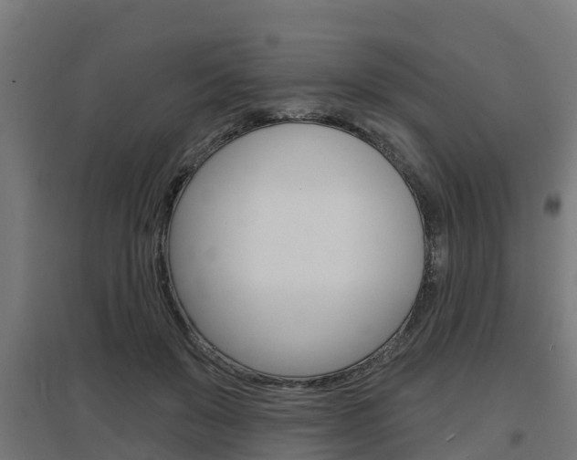 X0000097630503200802290848